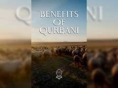 Benefits of Qurbani